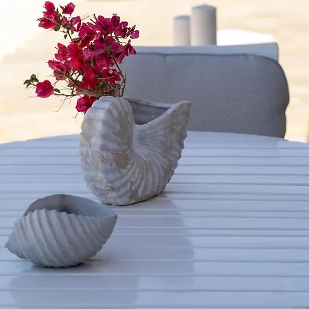 Andreas Sunset House شقة باروس
