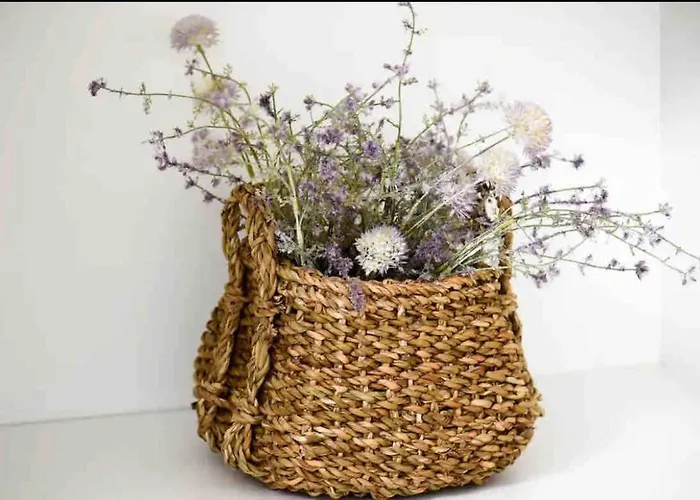 Andreas Sunset House