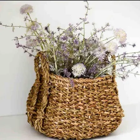 Andreas Sunset House